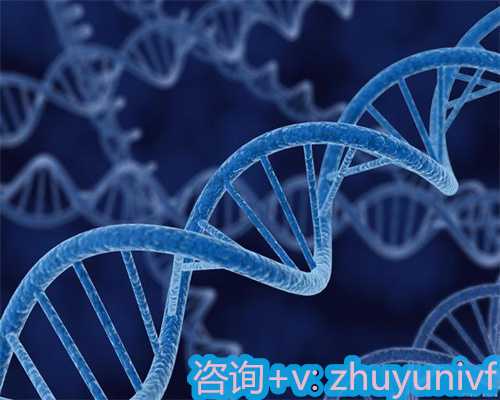 天津借卵助孕价格,广医三院试管婴儿怎样