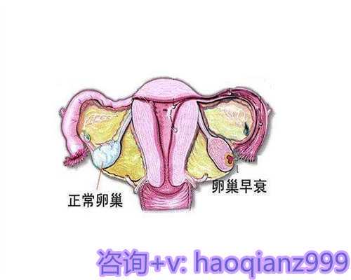 天津代生男孩网,天津爱维医院靠谱么,天津爱维医院是莆田