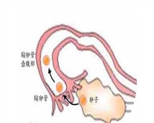 天津哪里有代生,广医三院有精子库吗