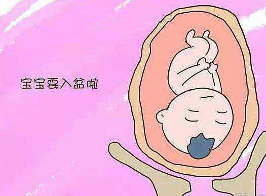 天津第三代试管代孕,试管胚胎质量等级